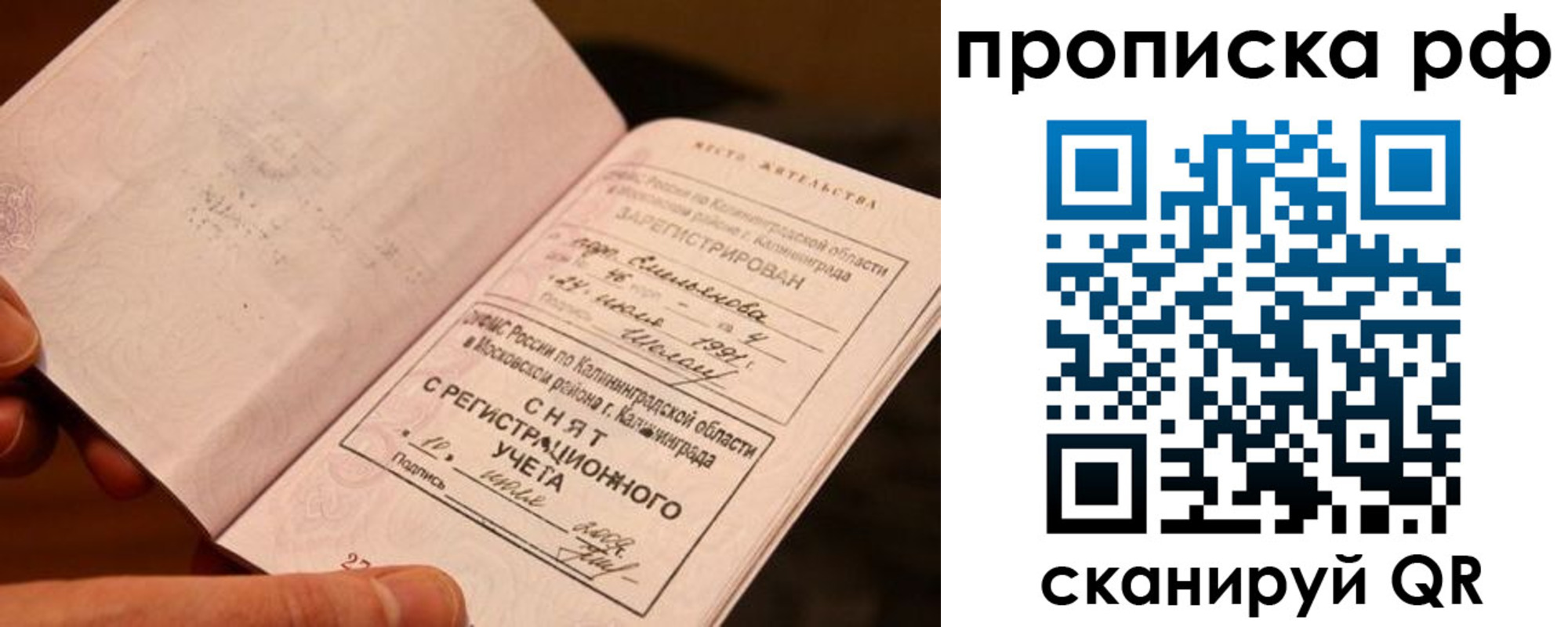 прописка гарантия в Ясном